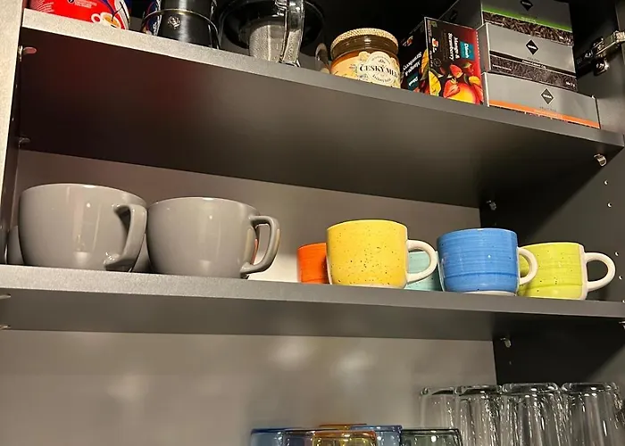 Rezidence Alpina 10,11 Špindlerŭv Mlýn